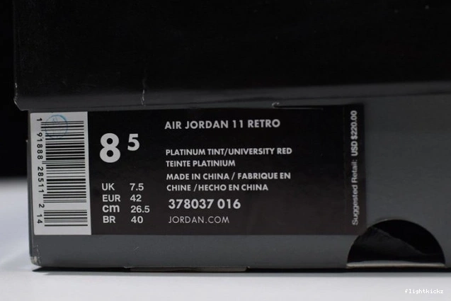 Platinum Air Retro Tint 11 378037-016 Jordan 0906